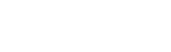flowforcemax